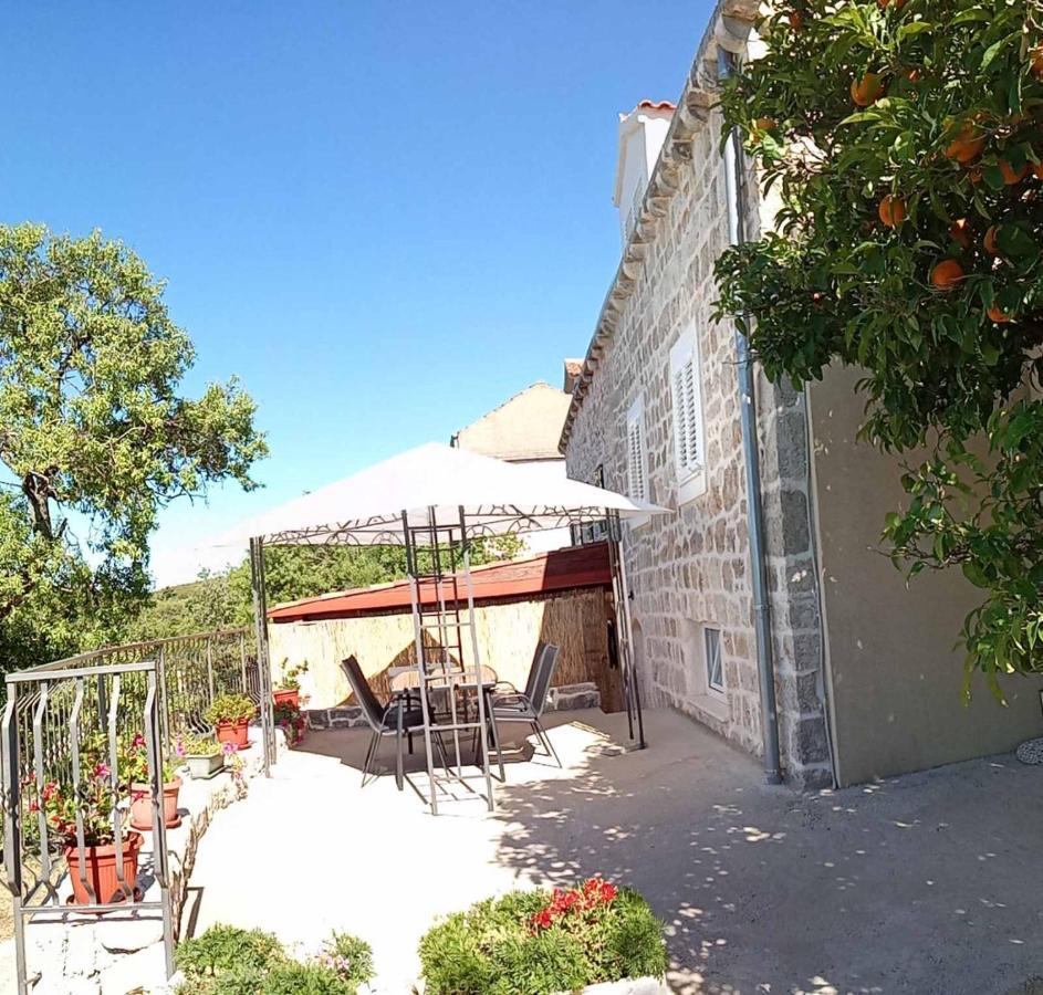 Holiday Apartments Maslina Paho Babino Polje Εξωτερικό φωτογραφία