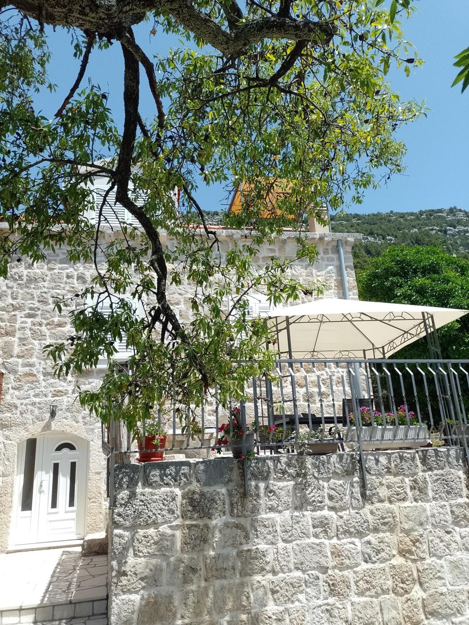 Holiday Apartments Maslina Paho Babino Polje Εξωτερικό φωτογραφία