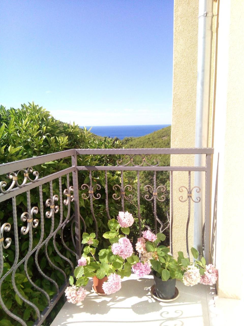 Holiday Apartments Maslina Paho Babino Polje Εξωτερικό φωτογραφία