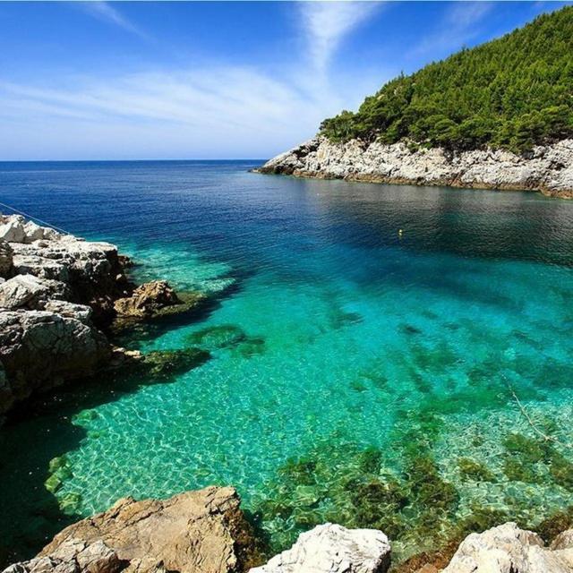 Holiday Apartments Maslina Paho Babino Polje Εξωτερικό φωτογραφία