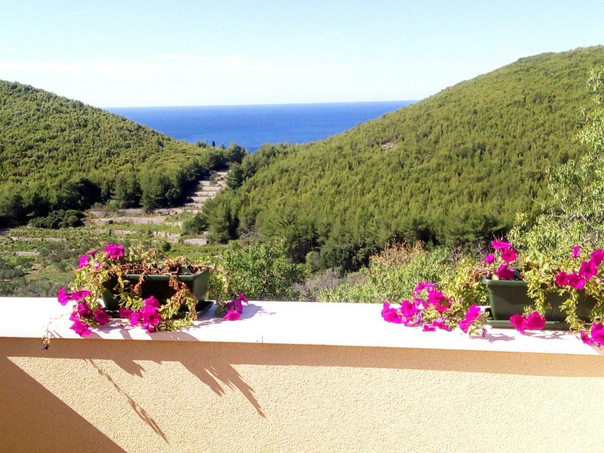 Holiday Apartments Maslina Paho Babino Polje Εξωτερικό φωτογραφία